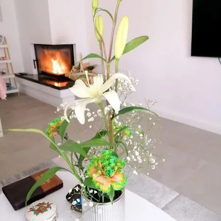 Apartman Palatium Appartamento *